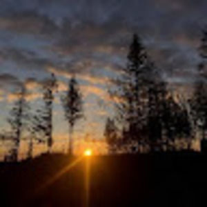 Meet your Posher, Ian